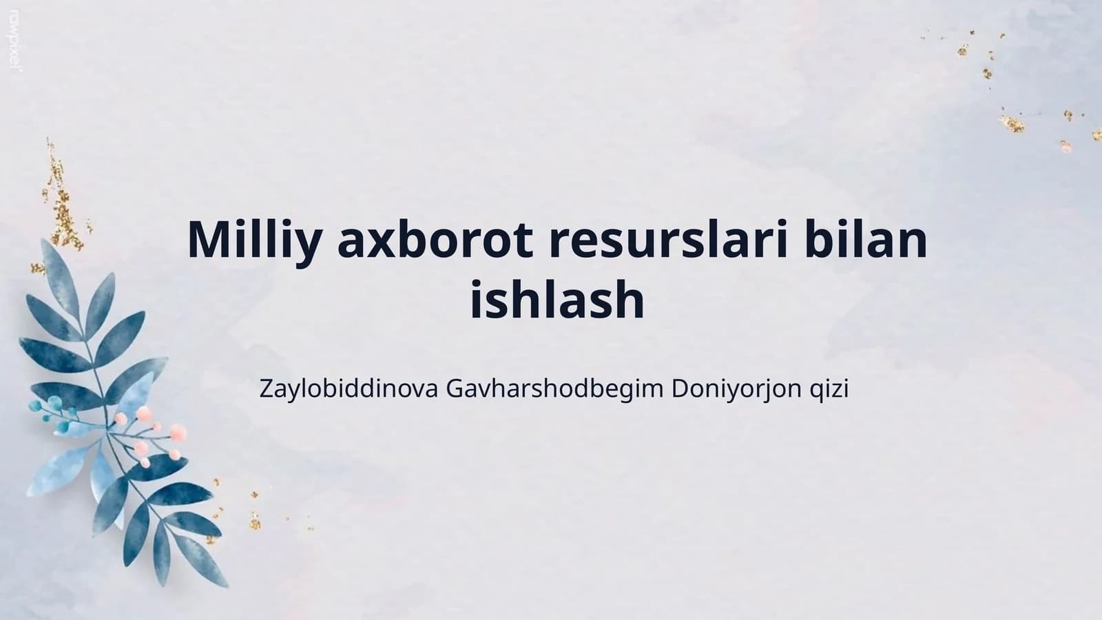 Milliy axborot resurslari bilan ishlash