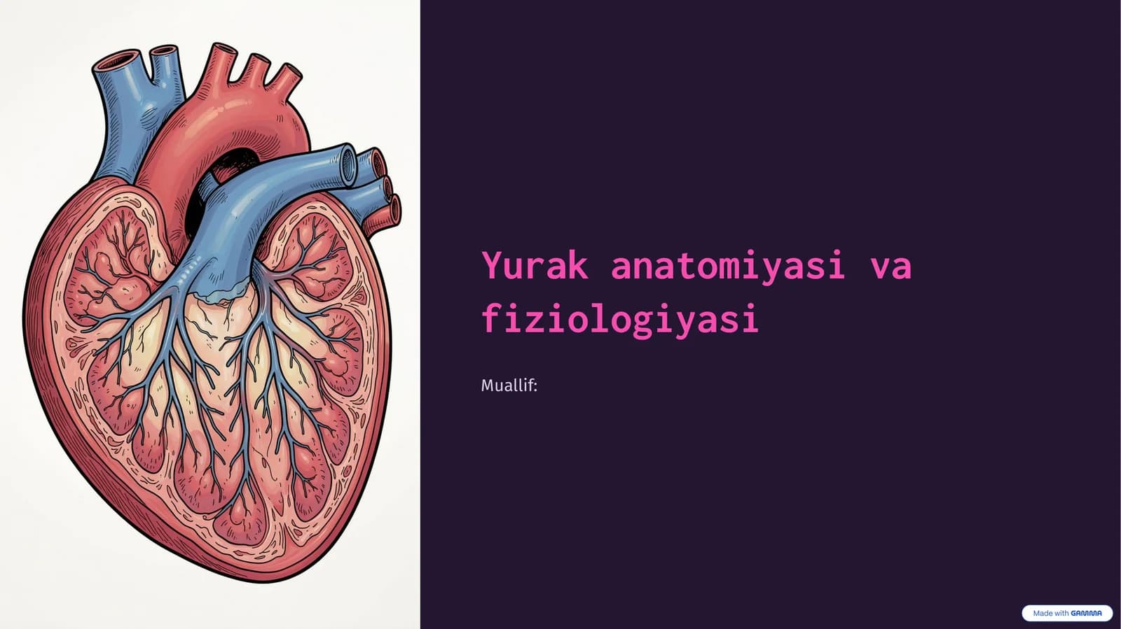 Yurak anatomiyasi va fiziologiyasi