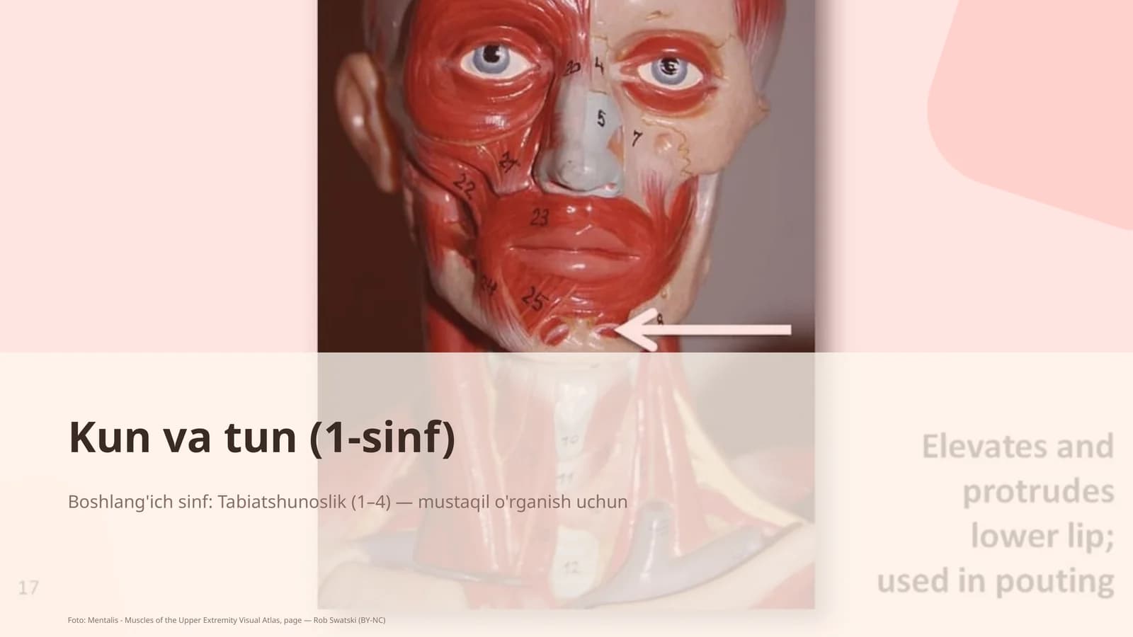 Kun va tun (1-sinf)