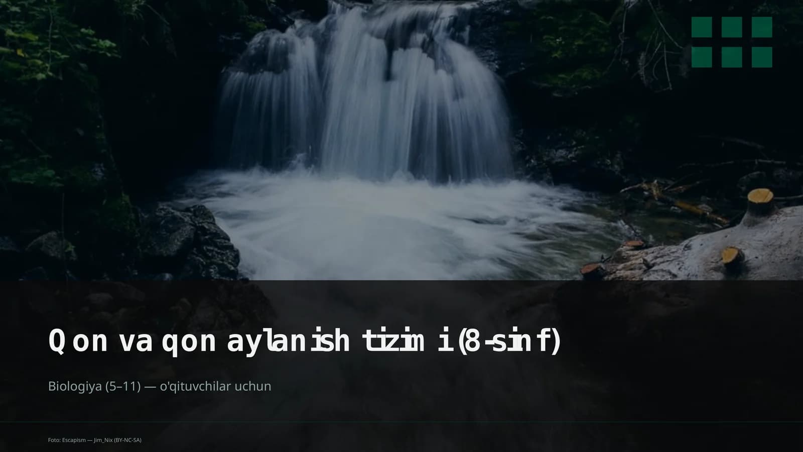 Qon va qon aylanish tizimi (8-sinf)