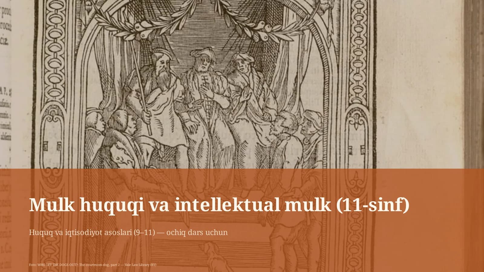 Mulk huquqi va intellektual mulk (11-sinf)