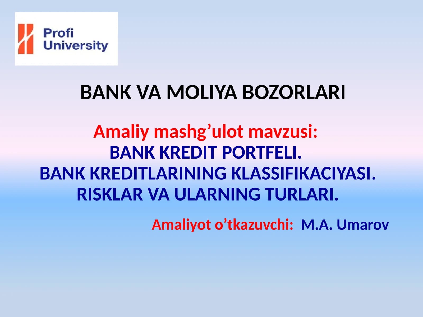 BANKKREDITPORTFELI