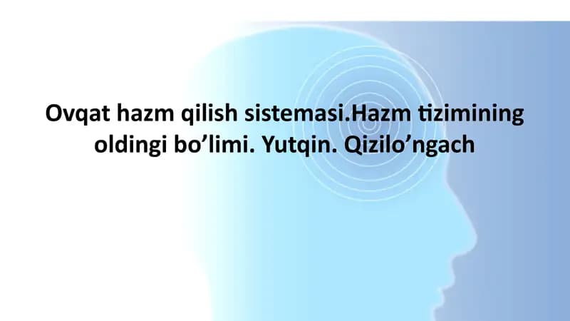 Hazm Sistemasi