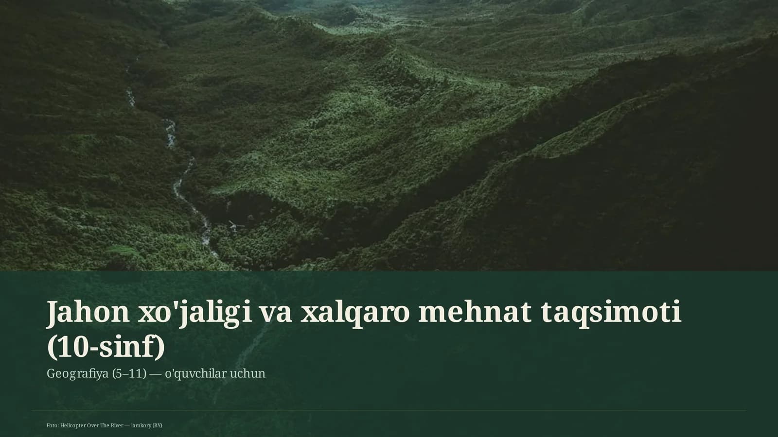 Jahon xo'jaligi va xalqaro mehnat taqsimoti (10-sinf)