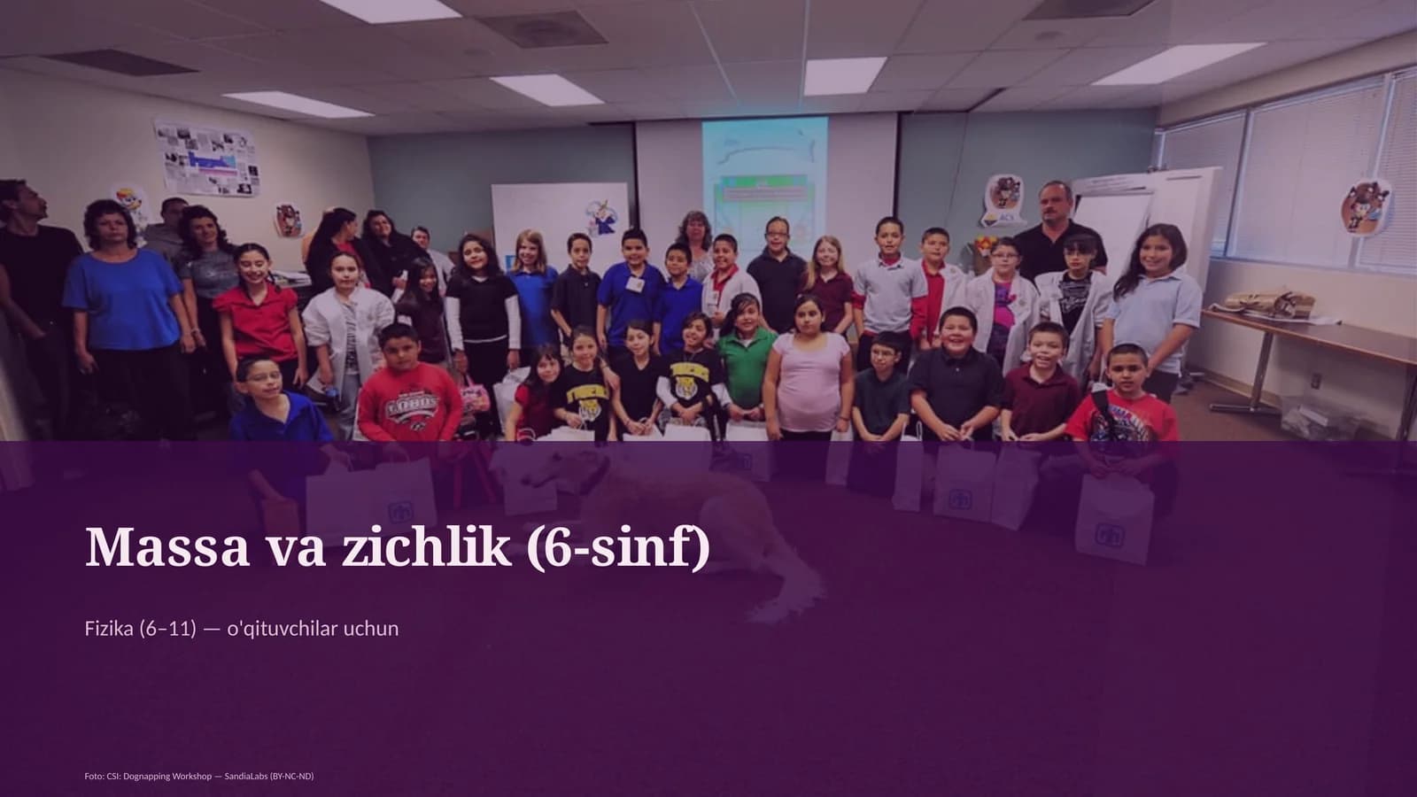 Massa va zichlik (6-sinf)
