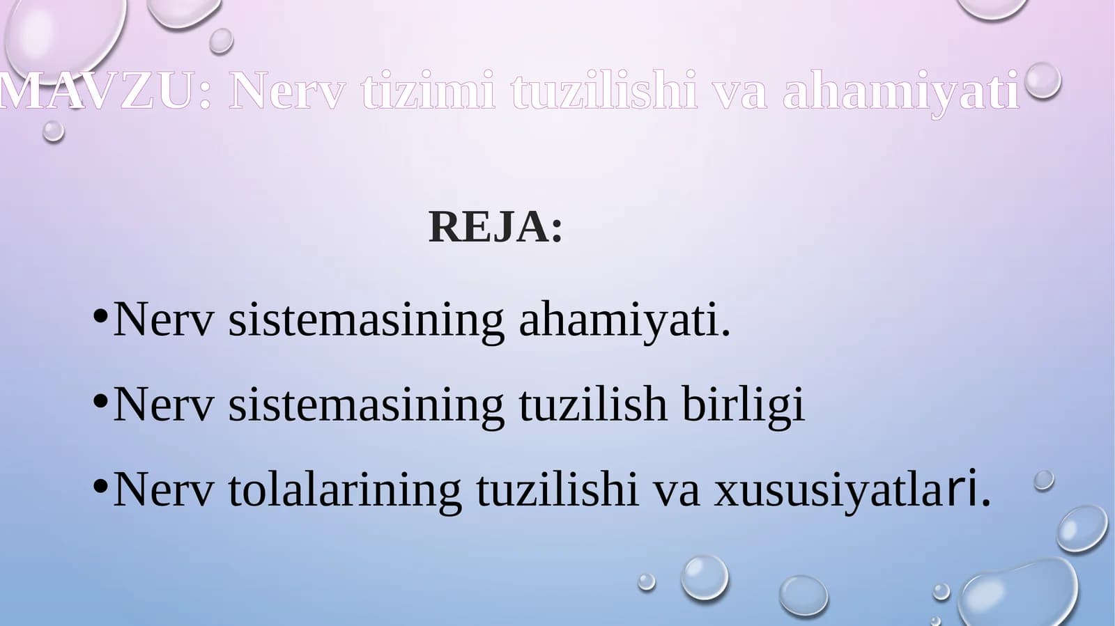 Nerv sistemasining ahamiyati