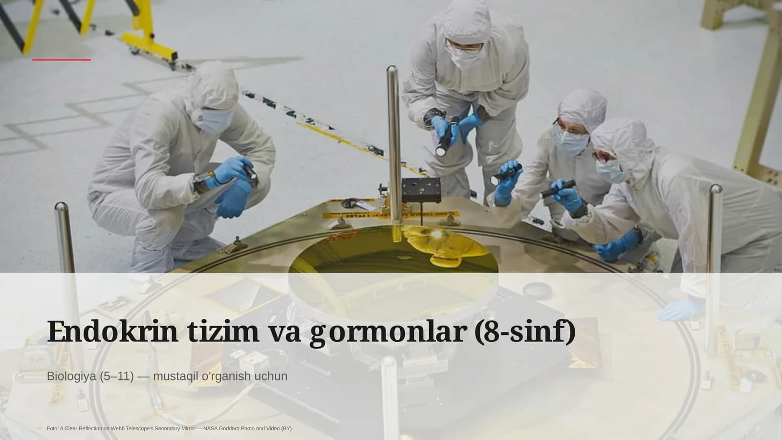 Endokrin tizim va gormonlar (8-sinf)