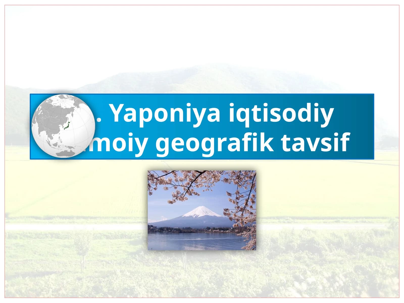 Yaponiyaiqtisodiy ijtimoiy geografik tavsif