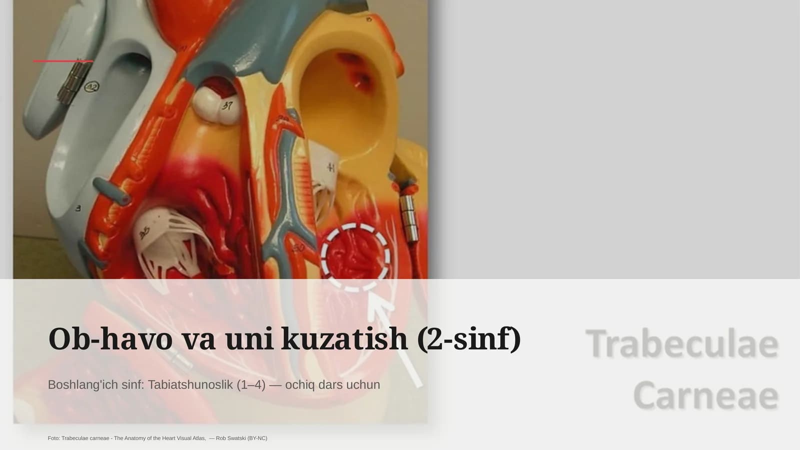 Ob-havo va uni kuzatish (2-sinf)