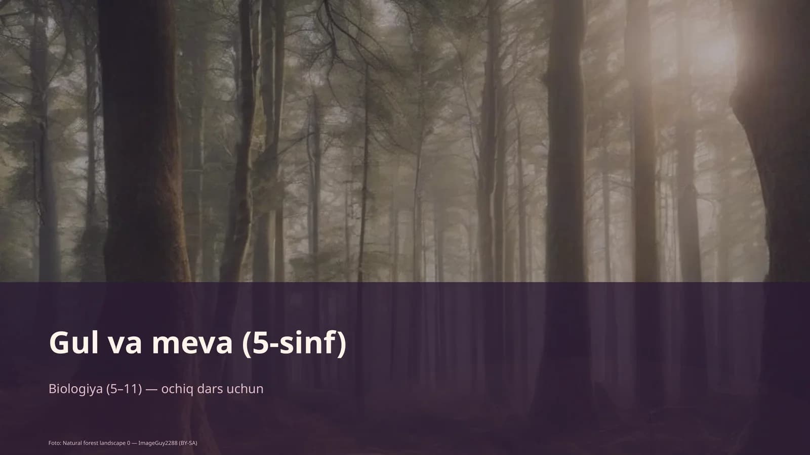 Gul va meva (5-sinf)