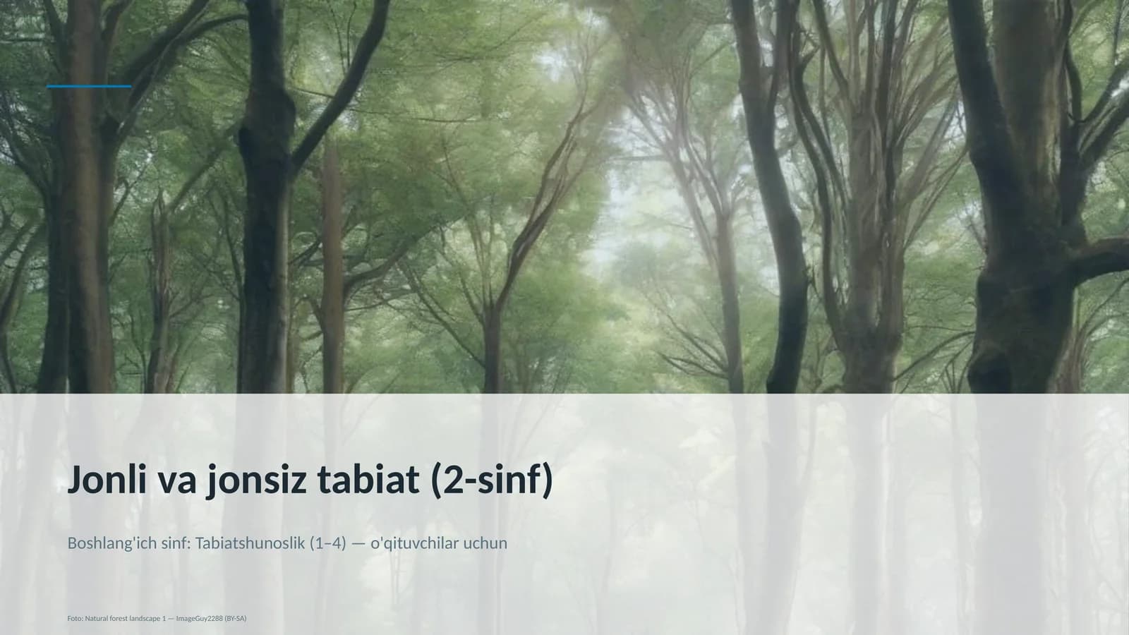 Jonli va jonsiz tabiat (2-sinf)