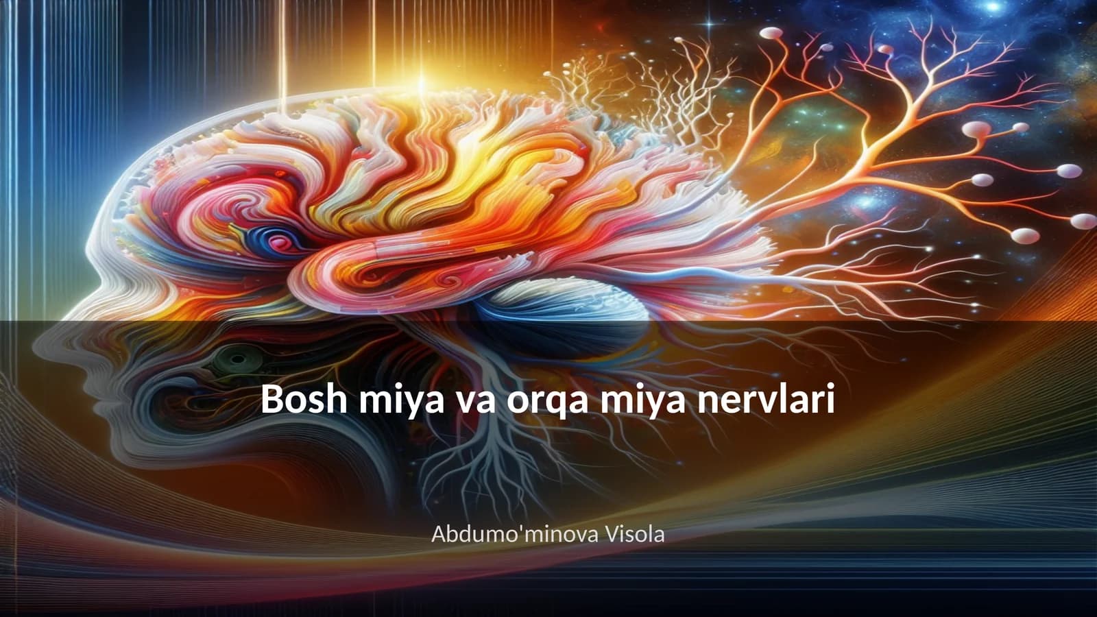Bosh miya va orqa miya nervlari
