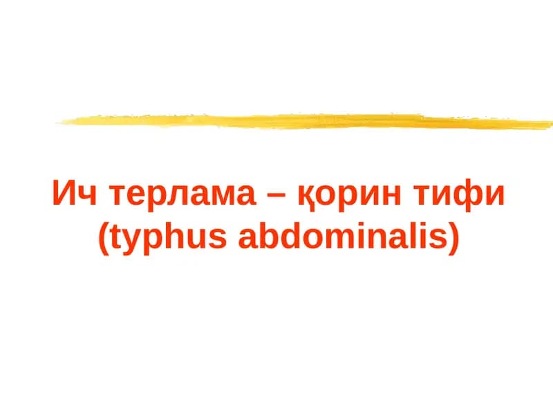Корин тифи (typhus abdominalis)