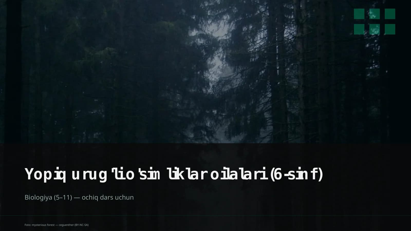 Yopiq urug'li o'simliklar oilalari (6-sinf)