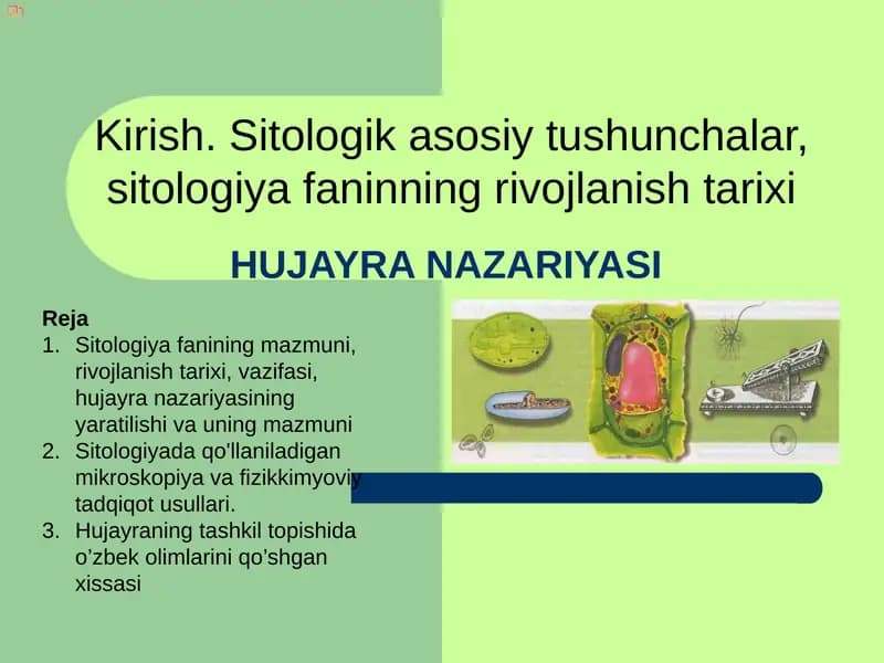 Hujayra Nazariyasi