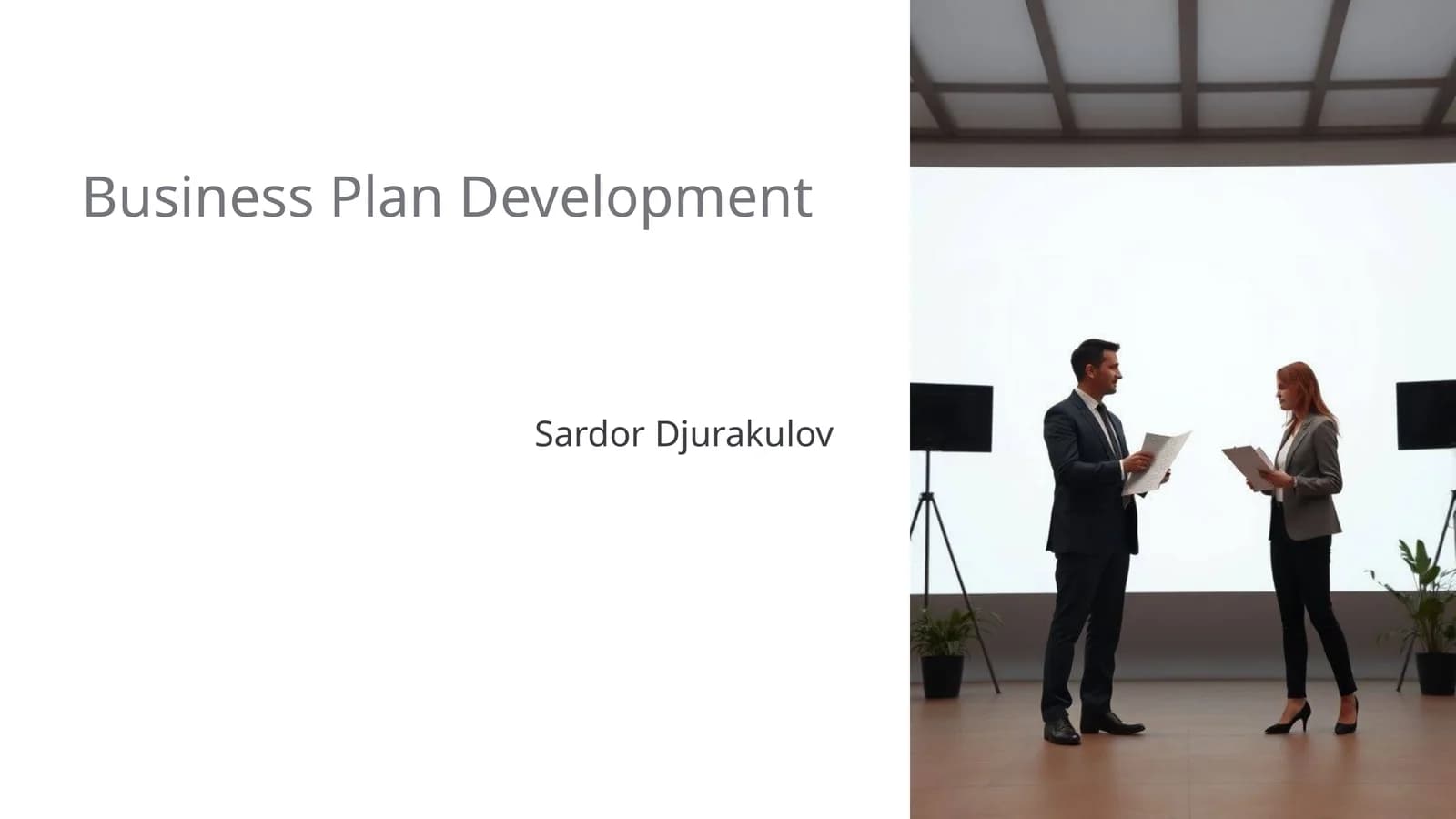 Business Plan Development