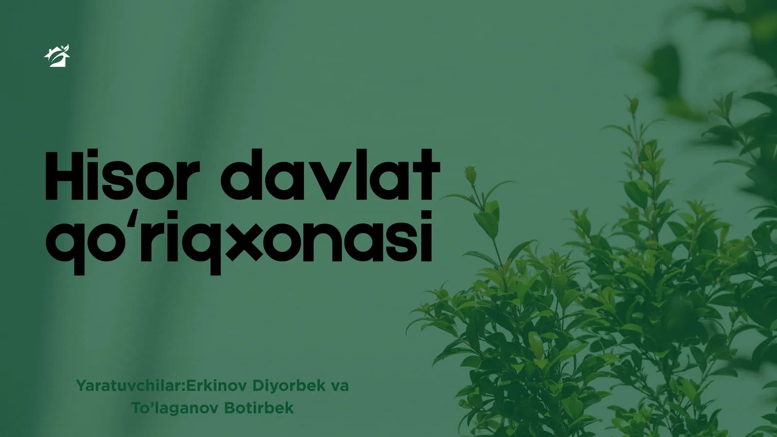 Hisor davlat qoʻriqxonasi