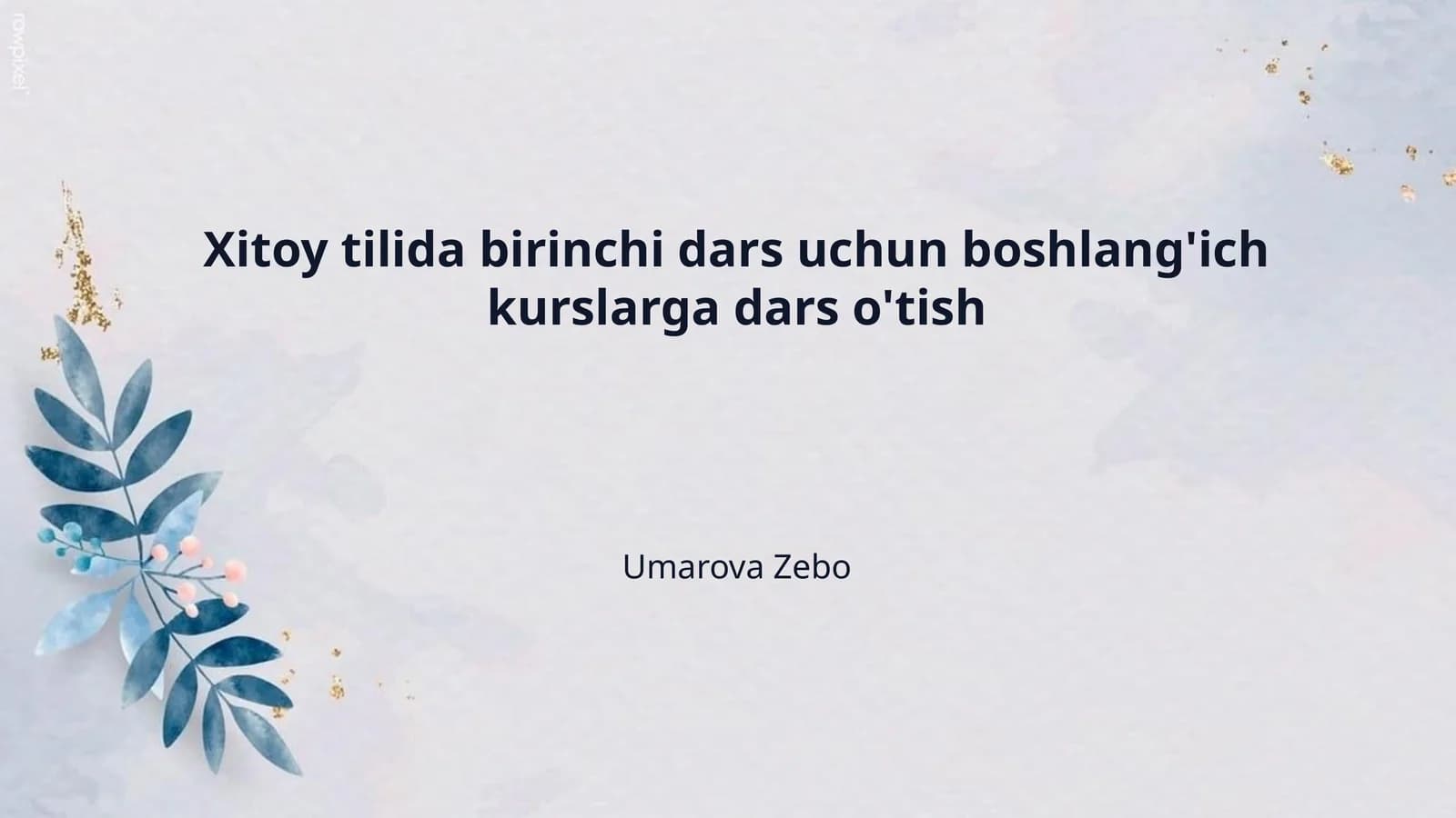 Xitoy tilida birinchi dars uchun boshlang'ich kurslarga dars o'tish