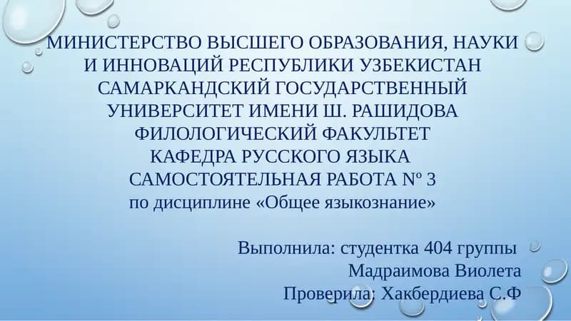 САМОСТОЯТЕЛЬНАЯ РАБОТА Nº 3 по дисциплине «Общее языкознание»