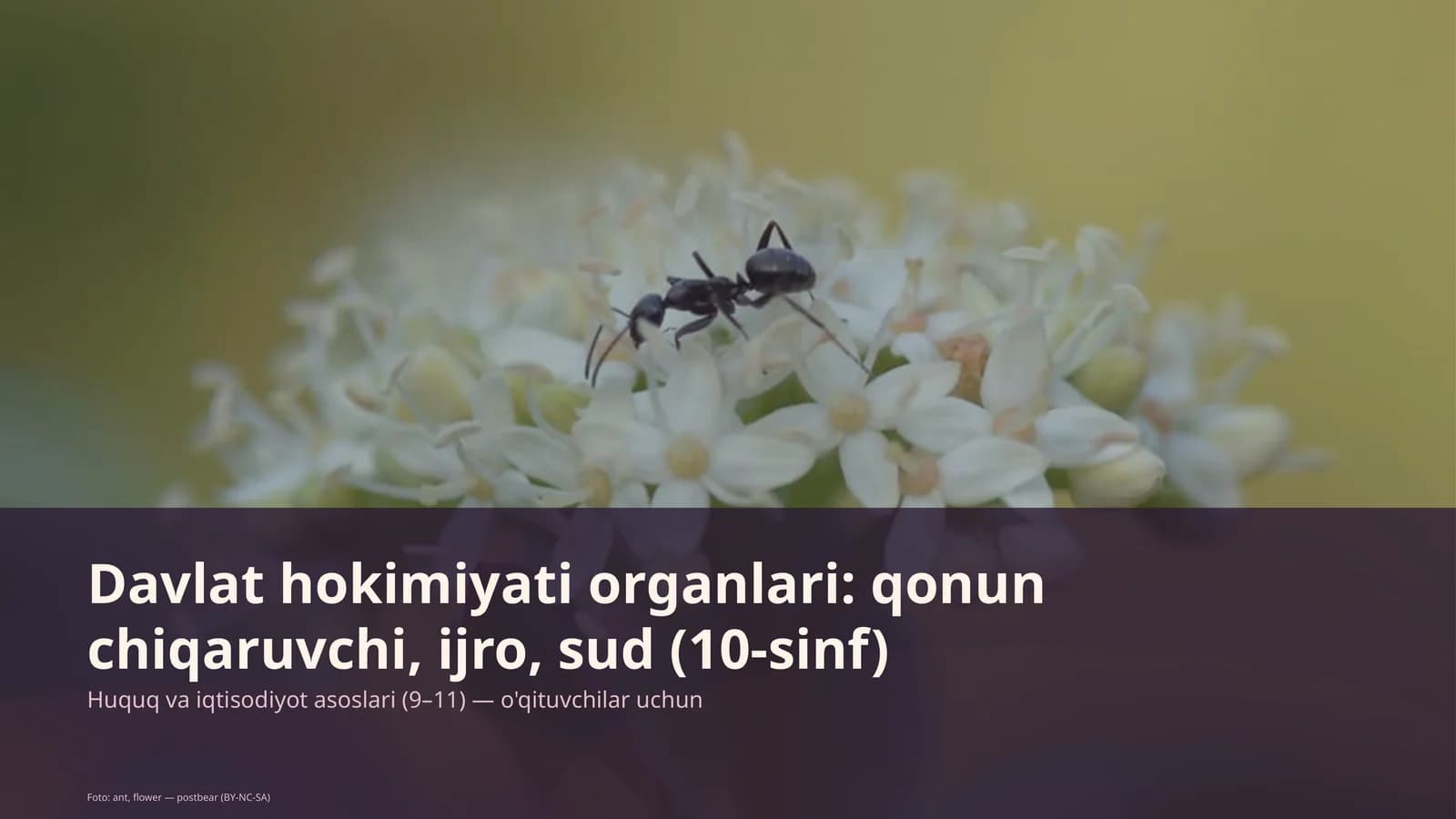 Huquq va iqtisodiyot asoslari (9-11)