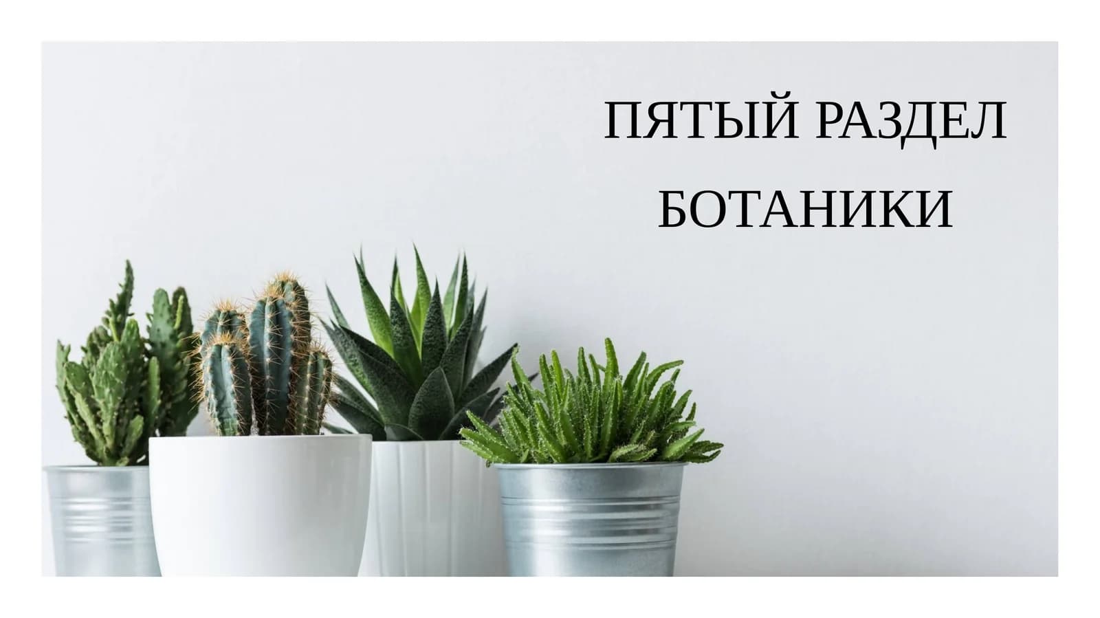 ПЯТЫЙ РАЗДЕЛ БОТАНИКИ