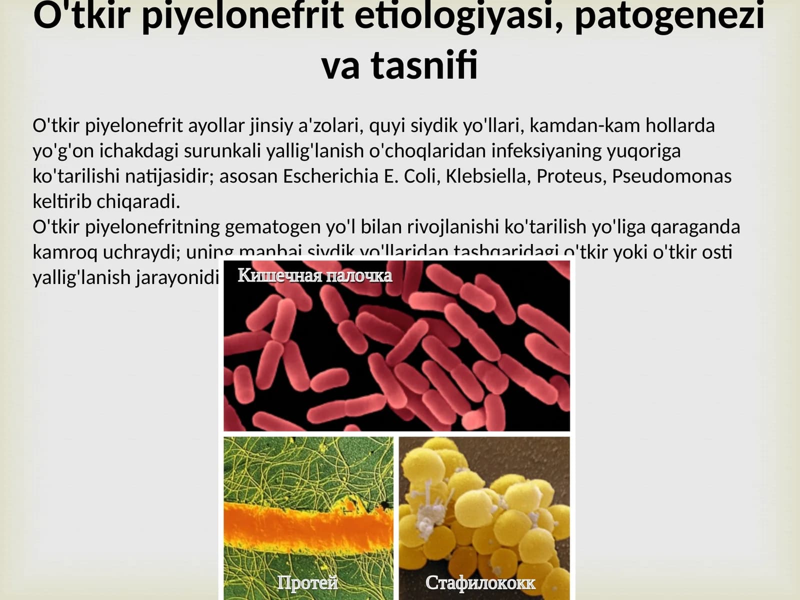 O'tkir piyelonefrit etiologiyasi, patogenezi va tasnifi