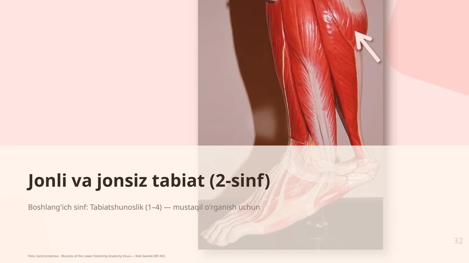 Jonli va jonsiz tabiat (2-sinf)