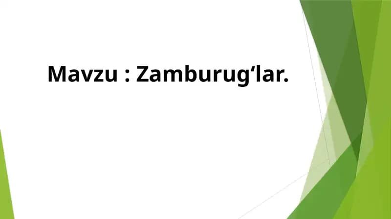 Zamburugʻlar