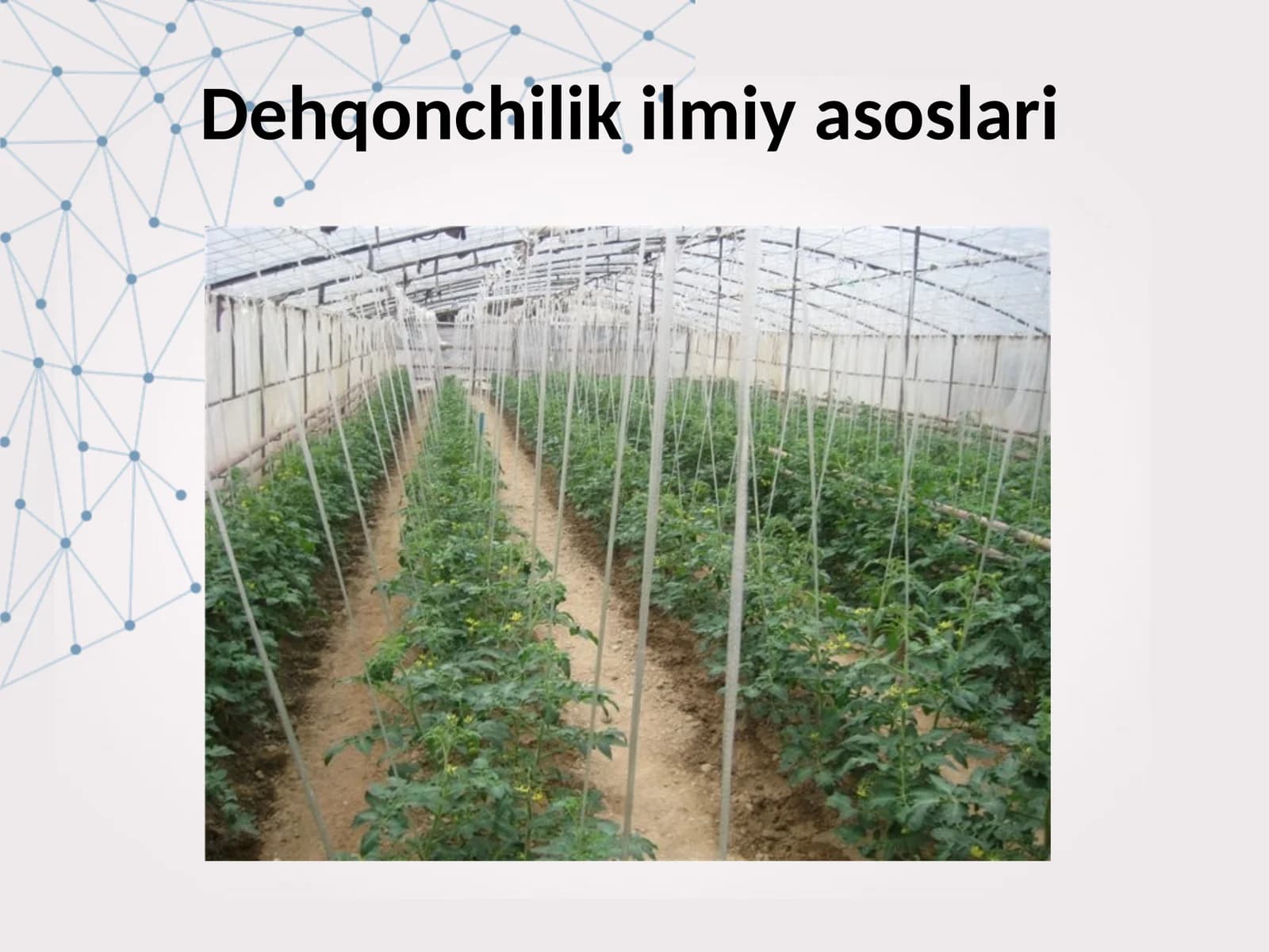 Dehqonchilik ilmiy asoslari