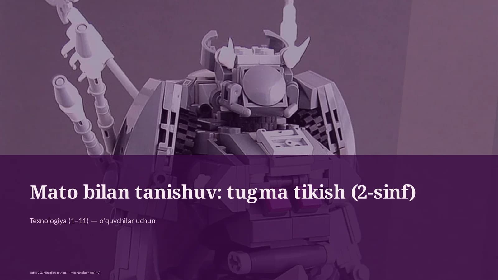 Mato bilan tanishuv: tugma tikish (2-sinf)