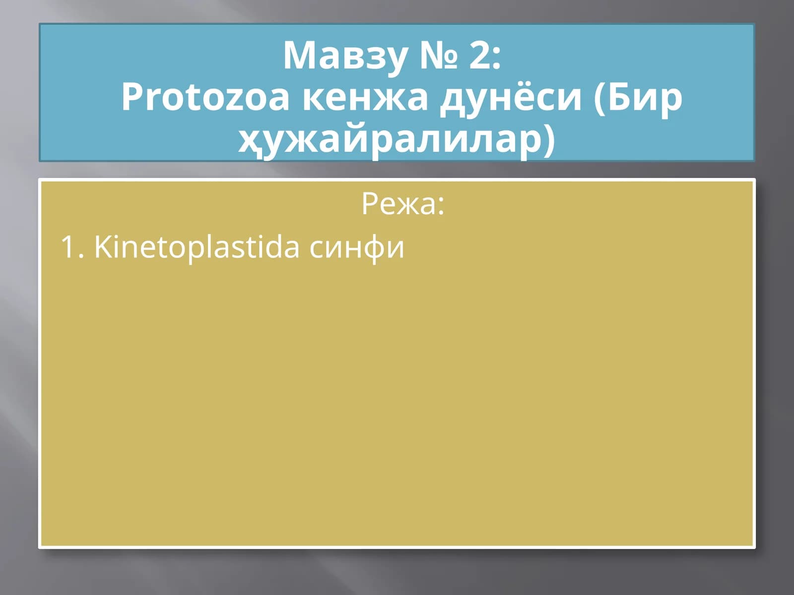 Protozoa кенжа дунёси