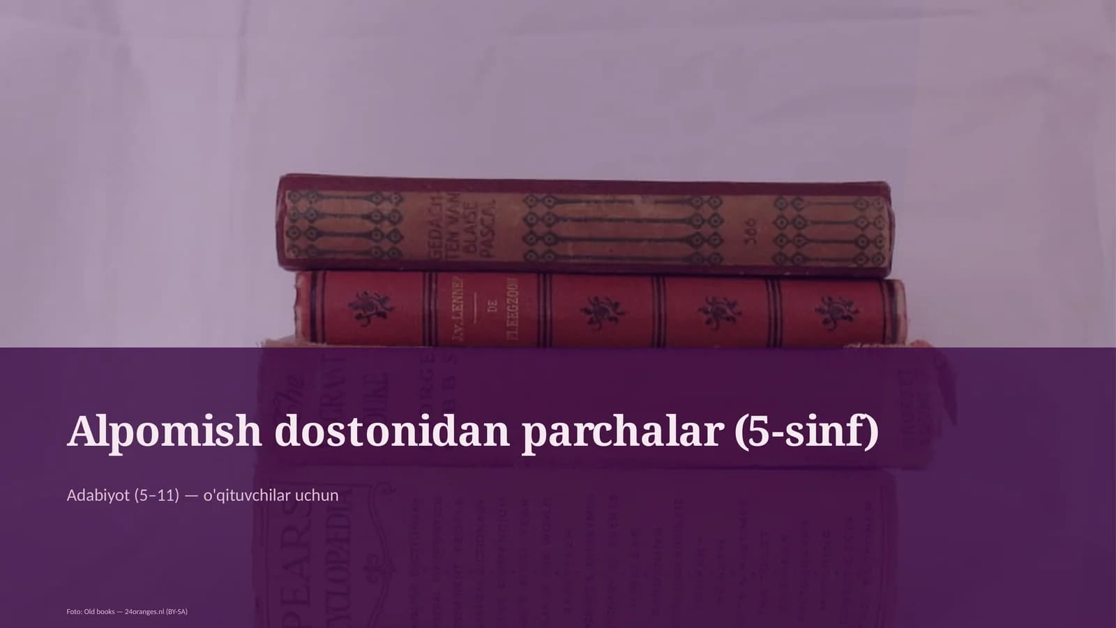 Alpomish dostonidan parchalar (5-sinf)