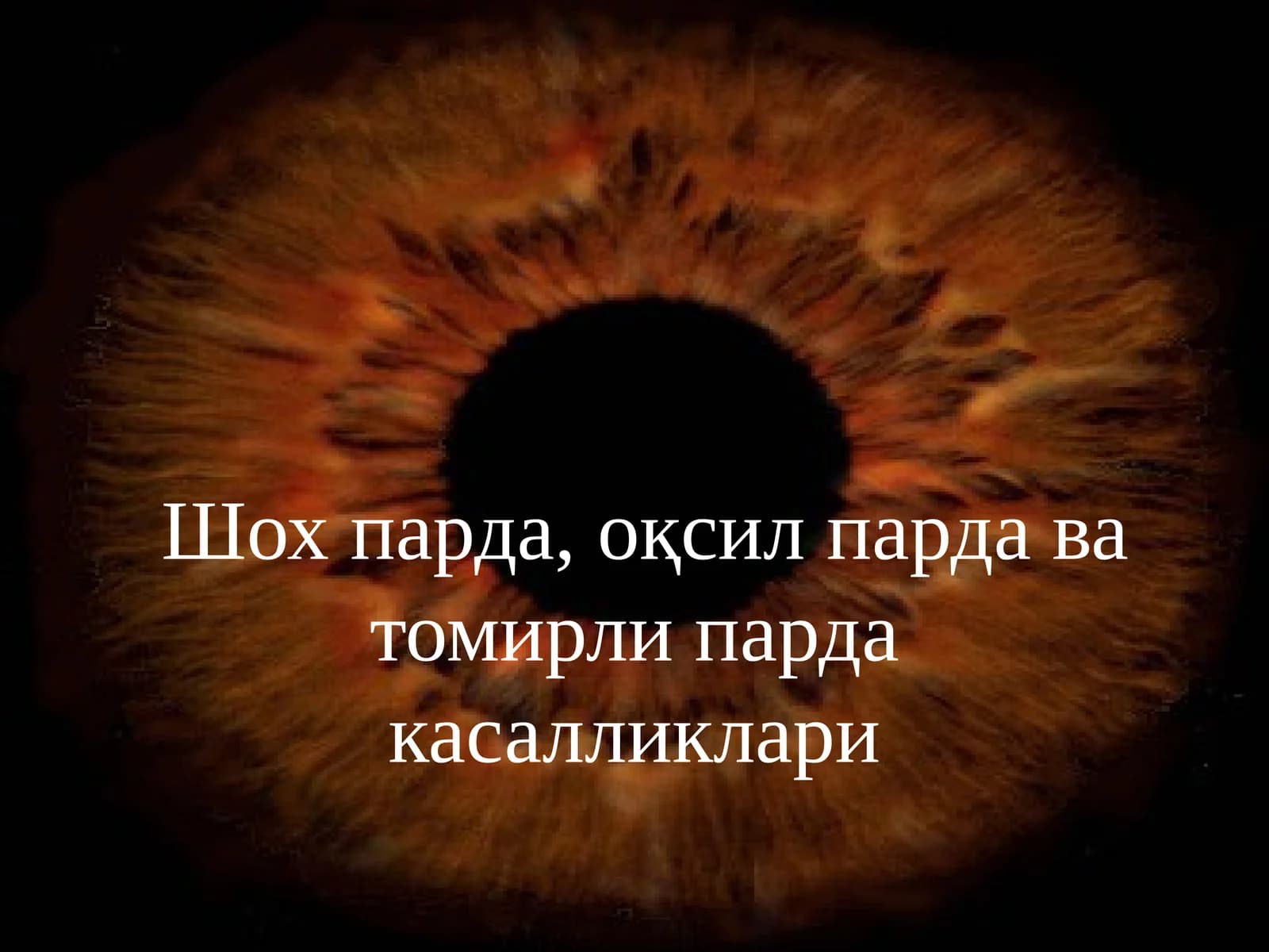 Шох парда патологияси