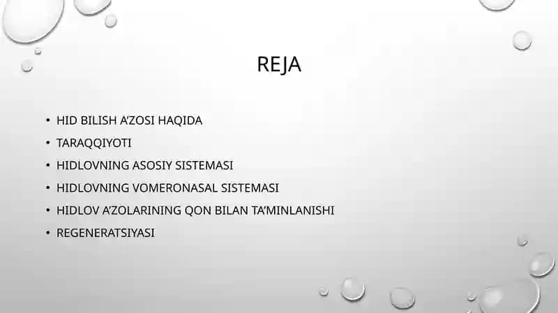 Hid bilish organi gistologiyasi va regenatsiya xususiyati pptx taqdimod uchun