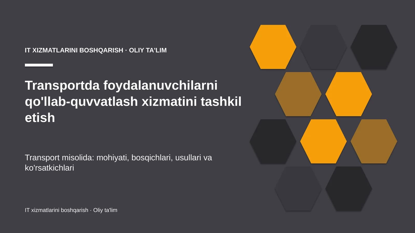 transportda foydalanuvchilarni qo'llab quvvatlash xizmatini tashkil etish 3381
