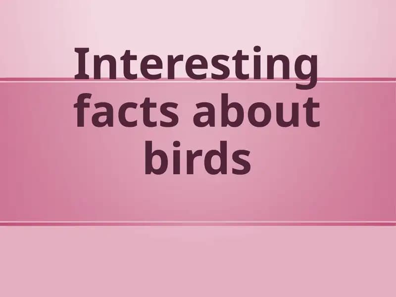 Interesting facts about birds