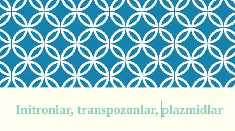 Initronlar, transpozonlar, plazmidlar