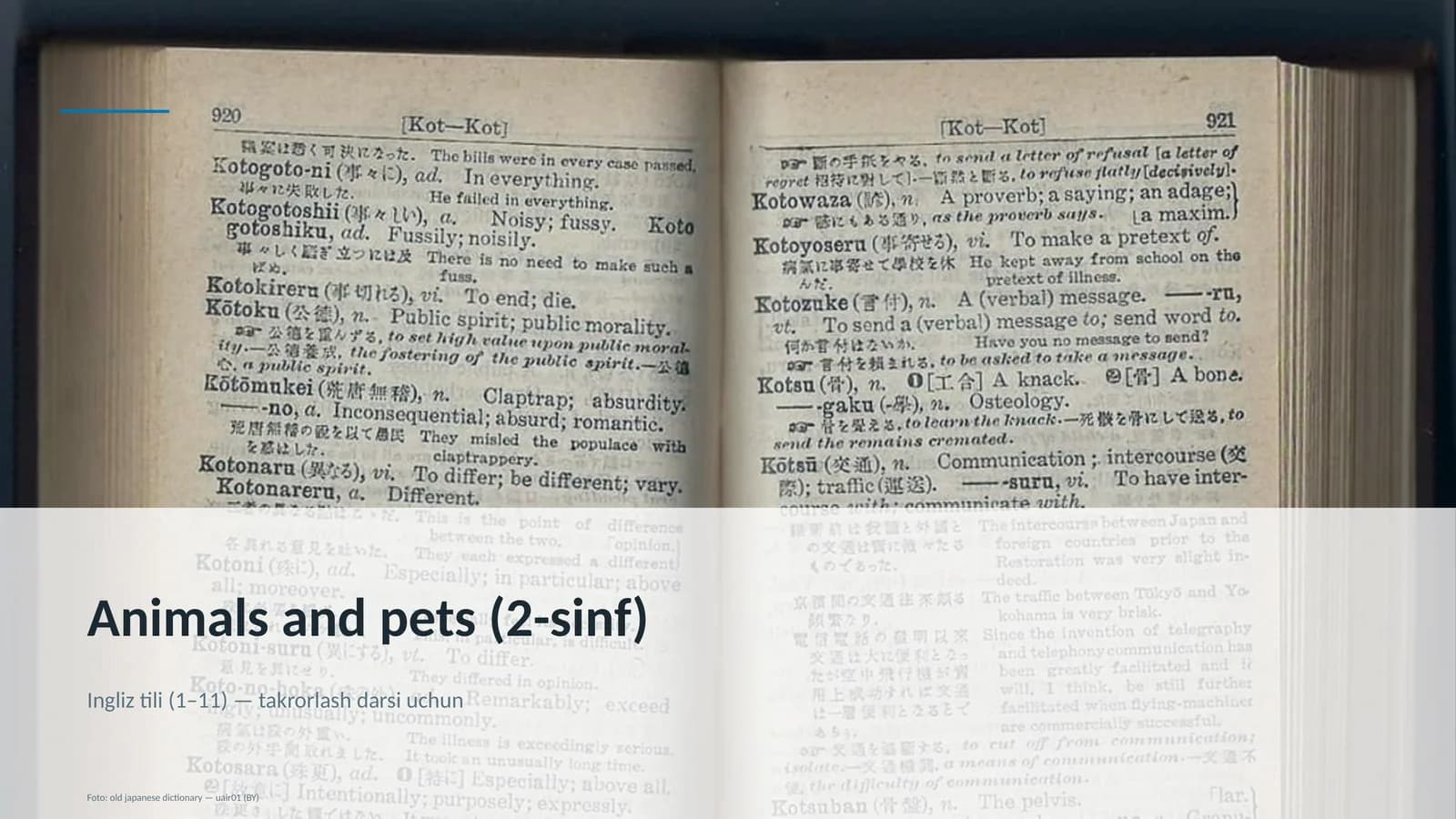 Animals and pets (2-sinf)