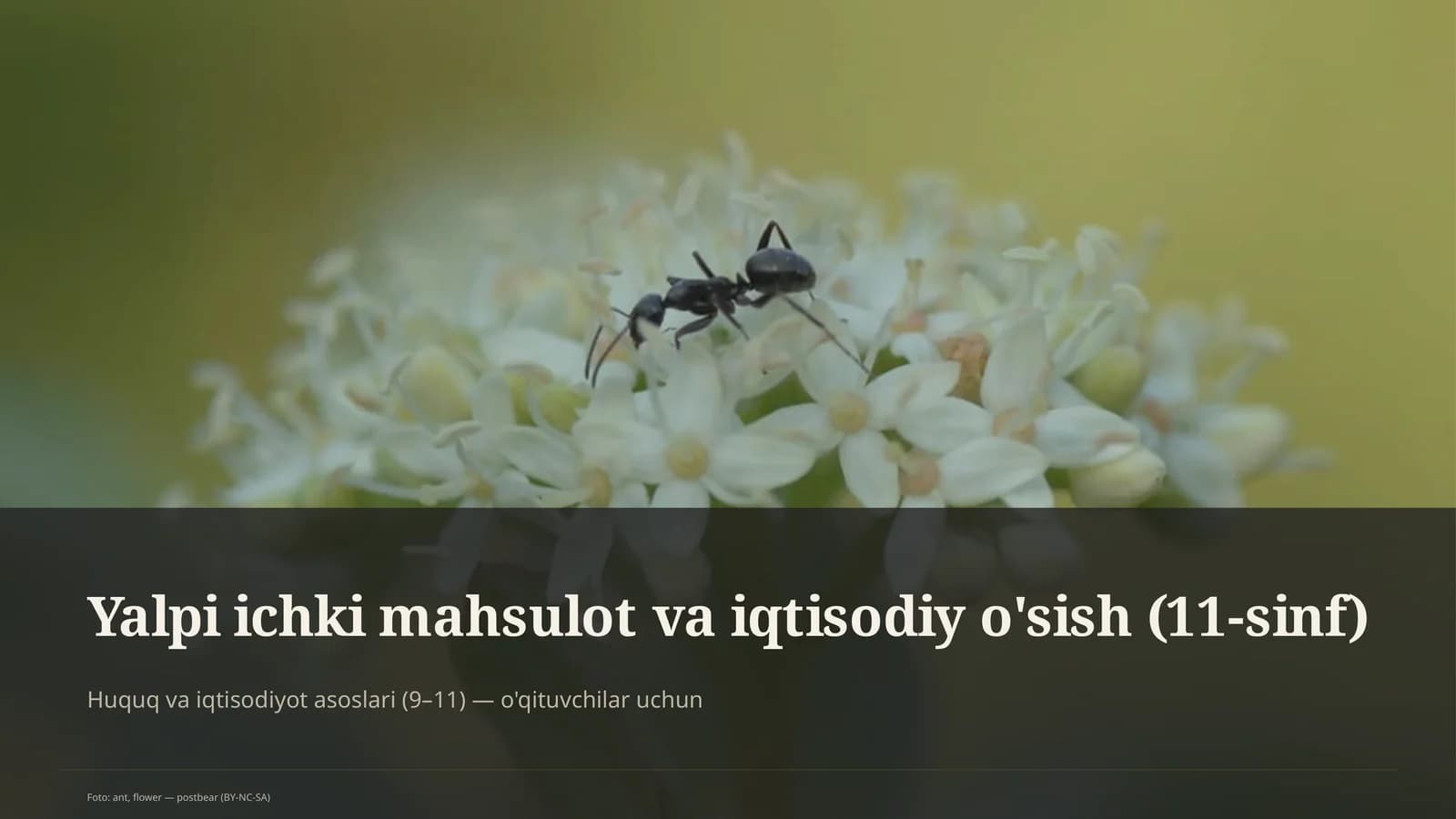 Yalpi ichki mahsulot va iqtisodiy o'sish (11-sinf)