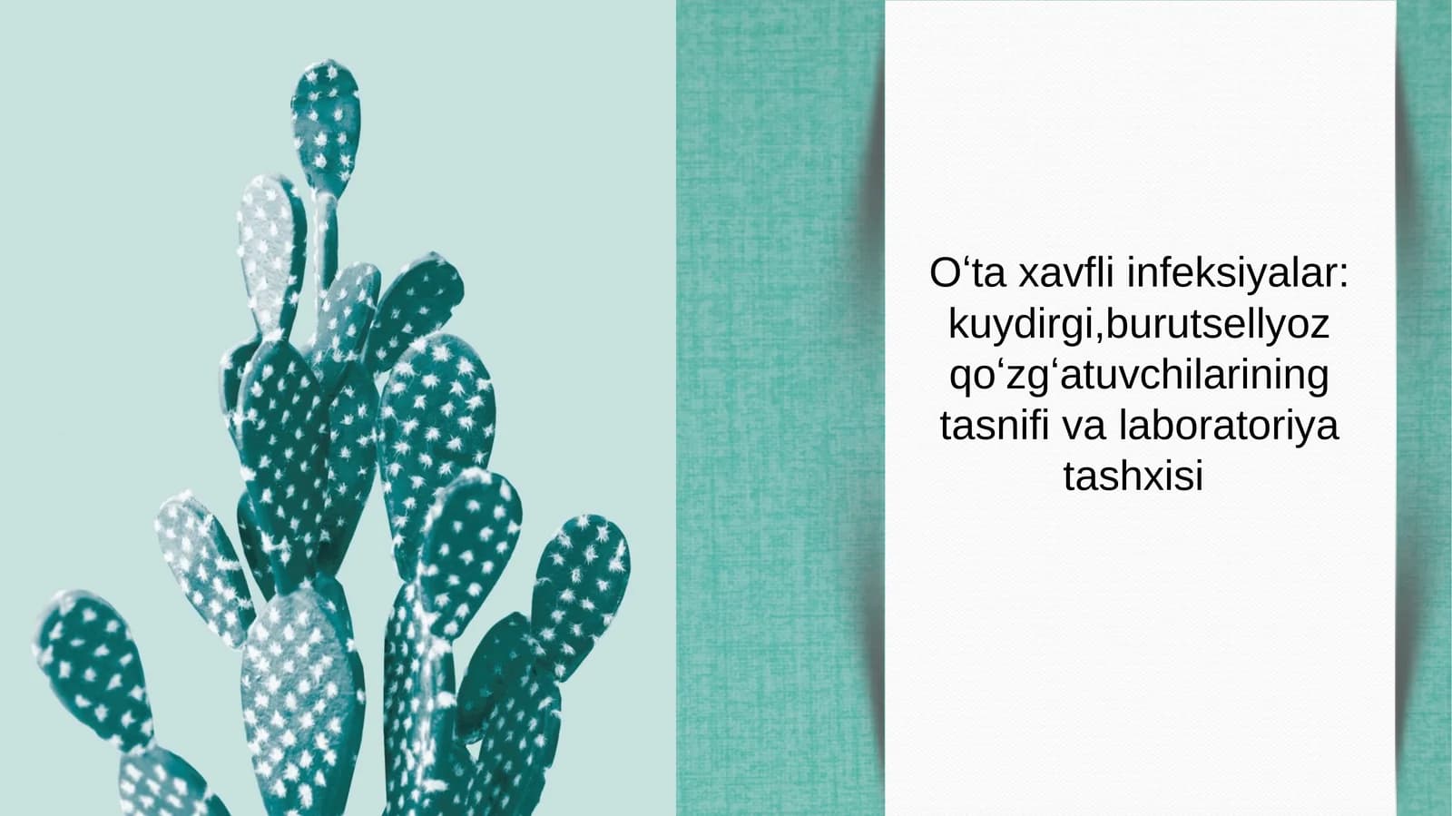 Oʻta xavfli infeksiya kuydirgi va brutsellyoz tasnifi