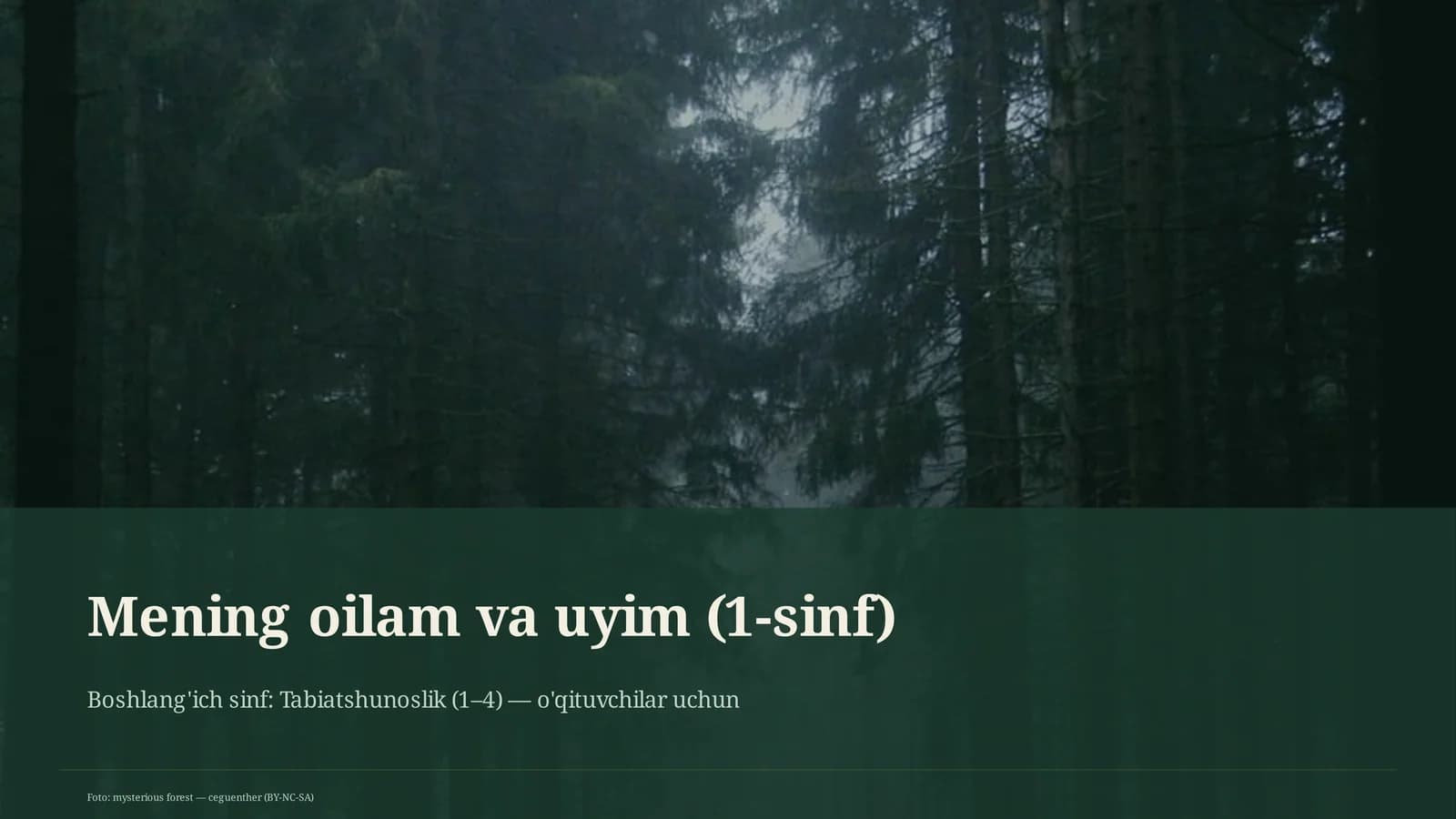 Mening oilam va uyim (1-sinf)