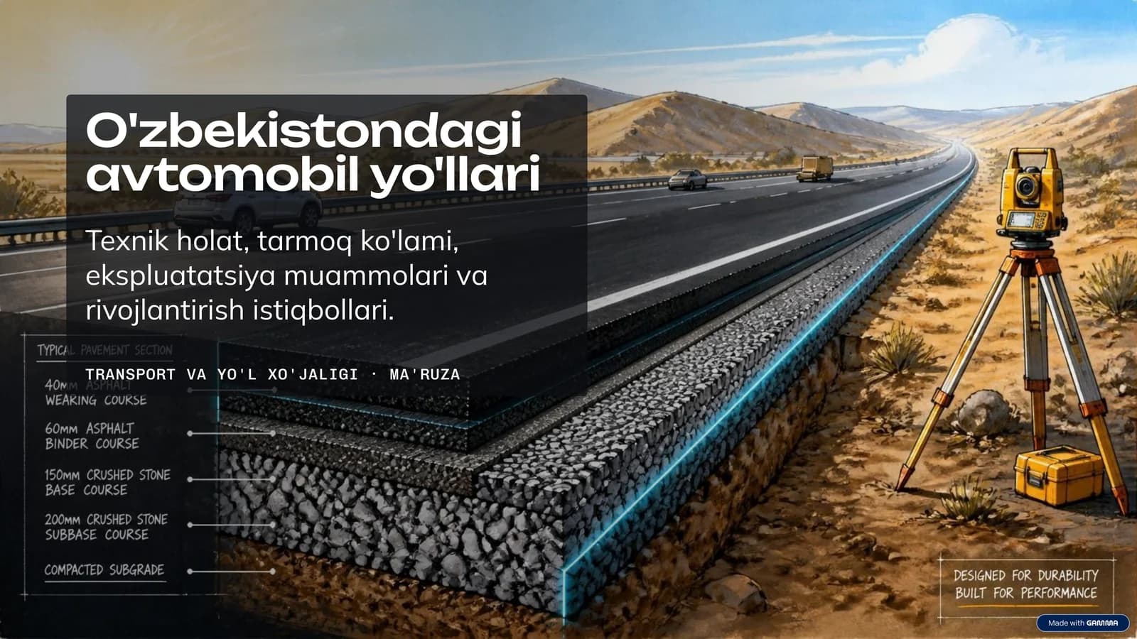 TARMOQ KO'LAMI VA STRUKTURASI