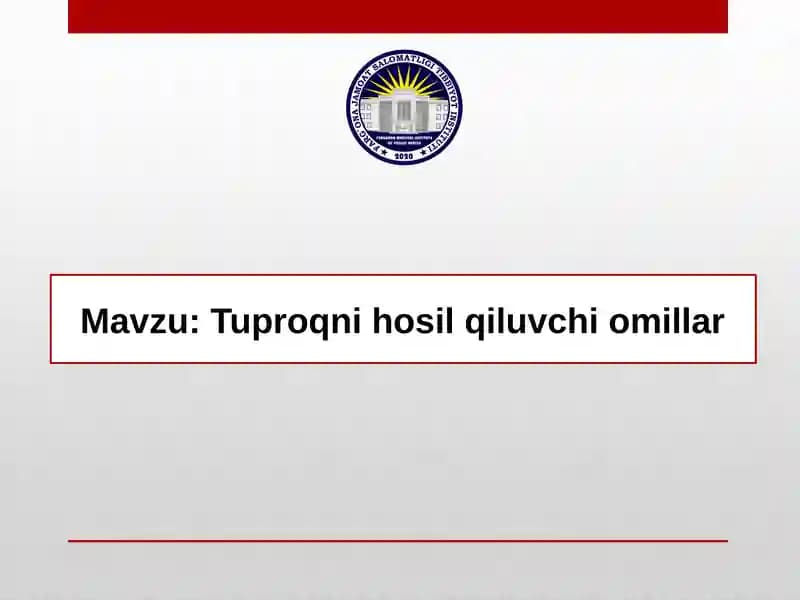 Tuproq hosil qilish jarayoni