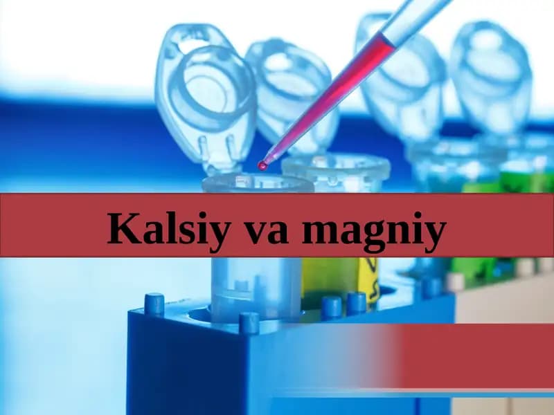 Kalsiyvamagniy