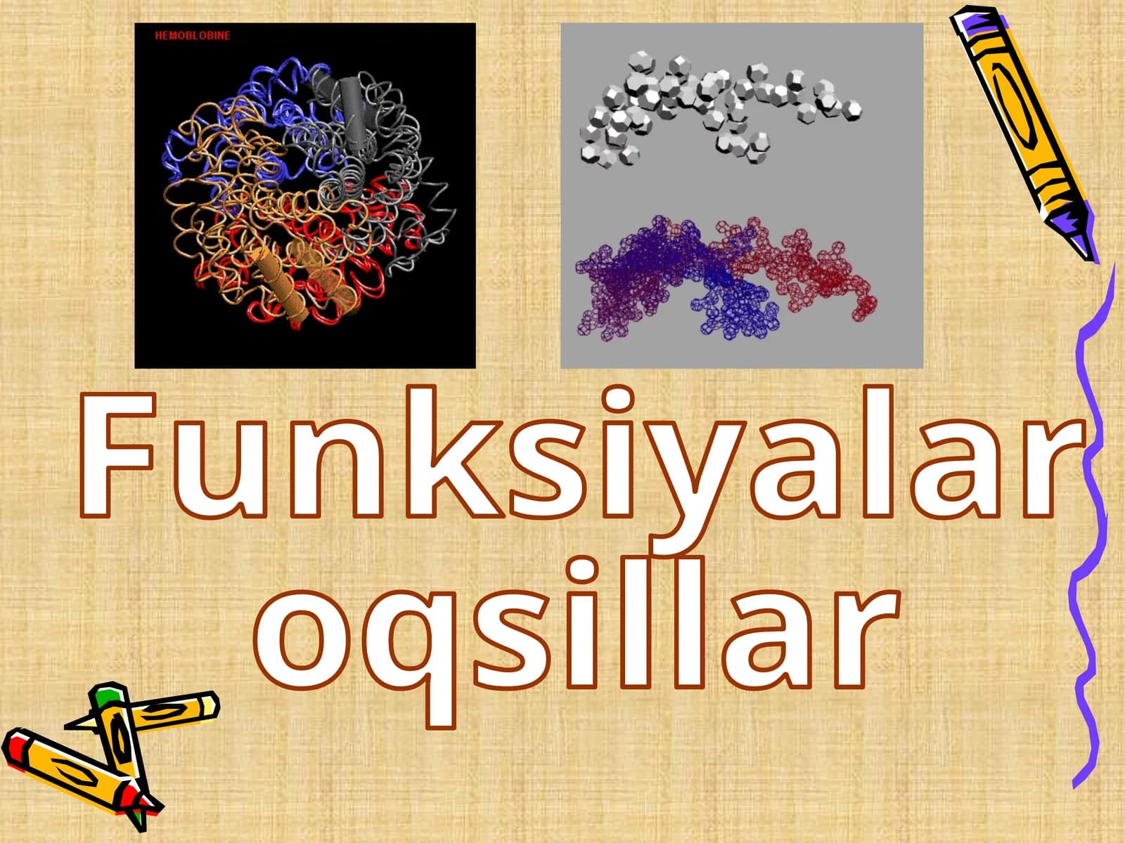 Funksiyalar oqsillar