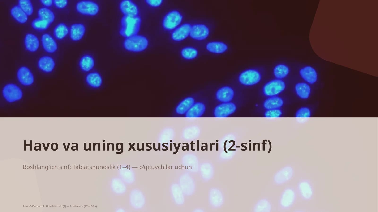 Havo va uning xususiyatlari (2-sinf)