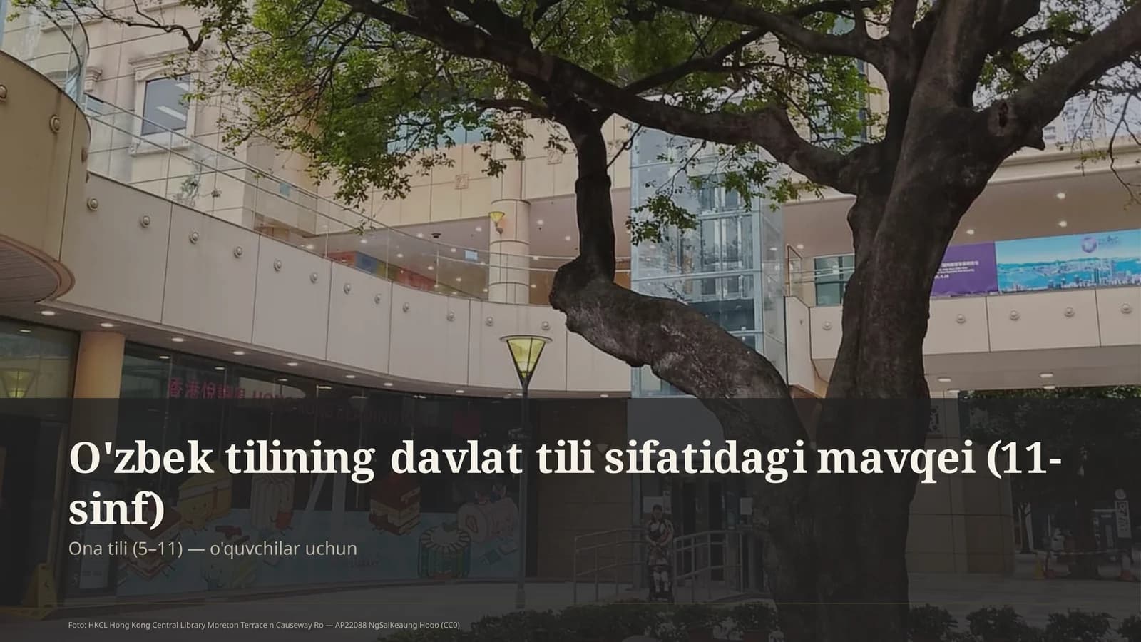 O'zbek tilining davlat tili sifatidagi mavqei (11-sinf)