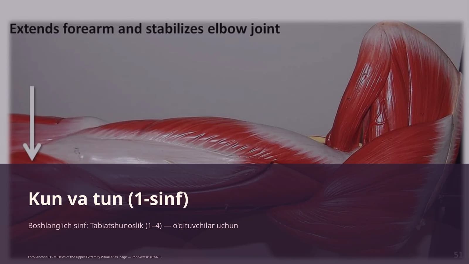 Kun va tun (1-sinf)
