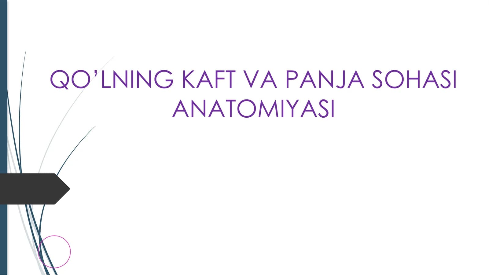 QO’LNING KAFT VA PANJA SOHASI ANATOMIYASI