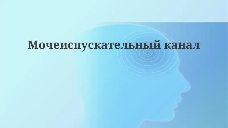 Мочеиспускательныйканал
